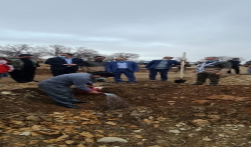 آغاز پویش نهالکاری در استان ایلام همزمان با سراسر کشور