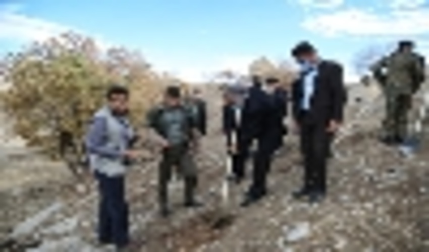 گزارش تصویری پویش مردمی بذرکاری برای احیاء جنگل های زاگرس منطقه تخت خان 