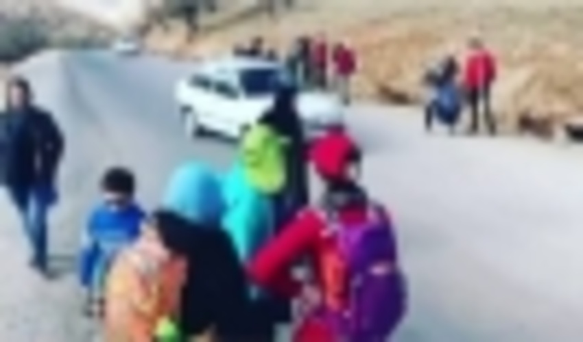 کاشت ۳۰۰ اصله نهال توسط انجمن همنوردان ایلام