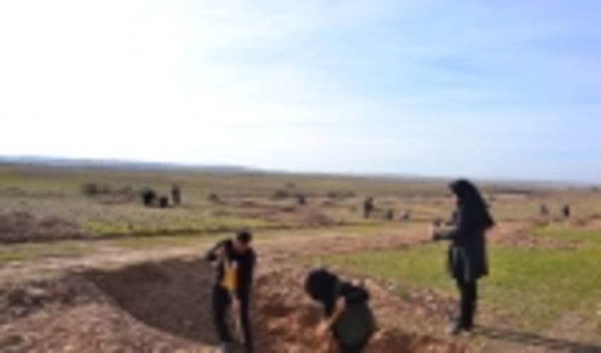 ‍ کاشت درخت توسط انجمن شنه پای زمین ایلام و منابع طبیعی در عرصه های طبیعی مهران