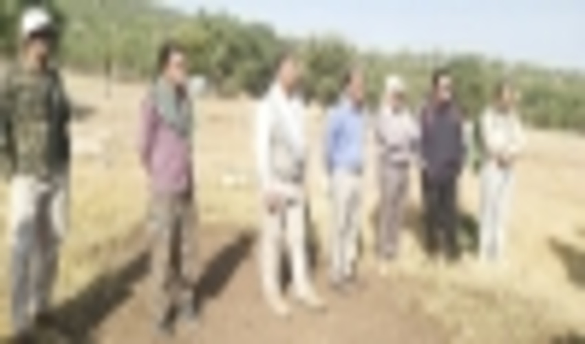 مبارزه با گیاه لورانتوس توسط جمعی از مردم شهرستان سیروان