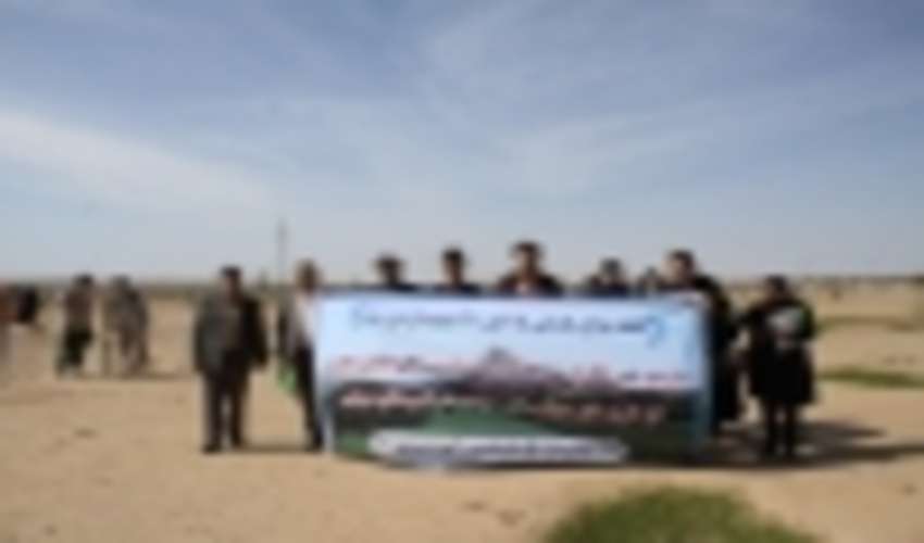 ایلام، استان پایلوت کشور برای توسعه جنگلکاری برگزیده شد.