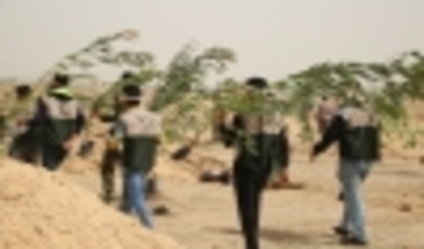 مراسم کاشت شش هزار اصله نهال به یاد شهیدان در شهرستان مهران برگزار شد