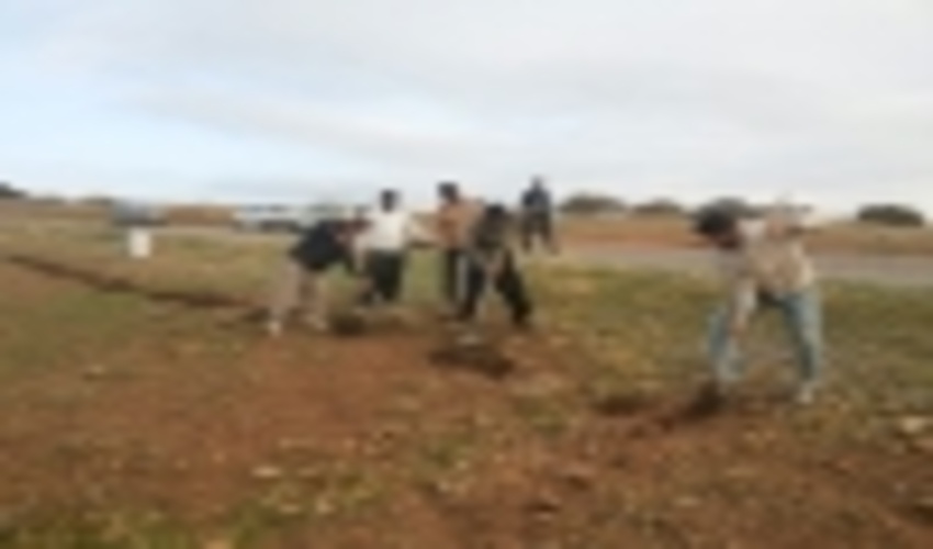 اجرای عملیات اصلاحی و احیایی مراتع شهرستان بدره