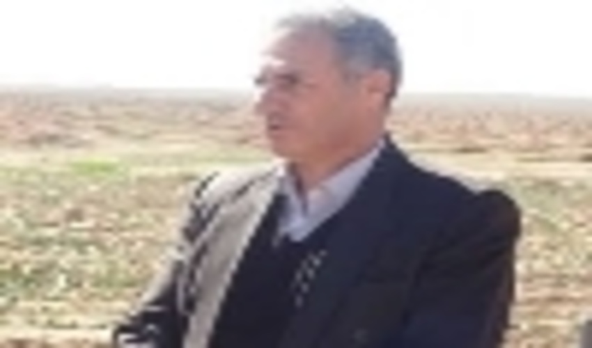 ایلام پیشتاز در نهال کاری و توسعه جنگل در کشور