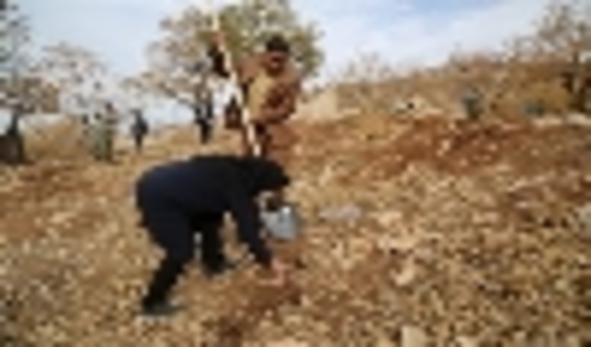 گزارش تصویری پویش مردمی بذرکاری برای احیاء جنگل های زاگرس 