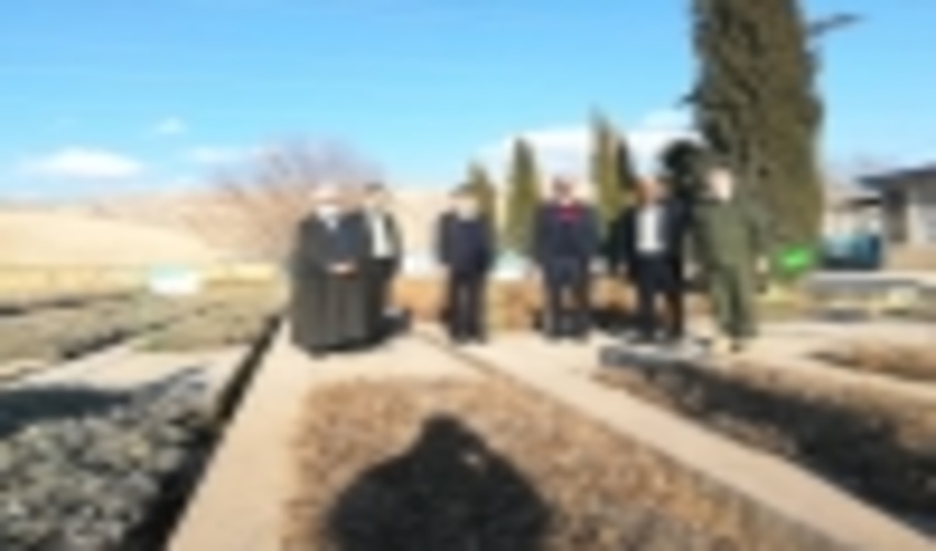 بازدید سرپرست سازمان جهادکشاورزی استان ایلام از نهالستان سردسیری شهرستان ایوان