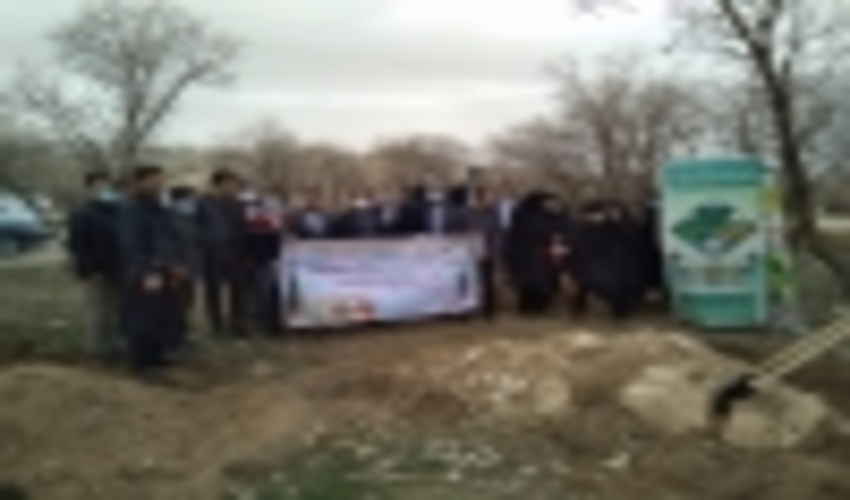 گزارش تصویری تصویری کاشت نهال با حضور کارکنان و مدیرکل کمیته امداد امام خمینی (ره) پارک چغاسبز ایلام