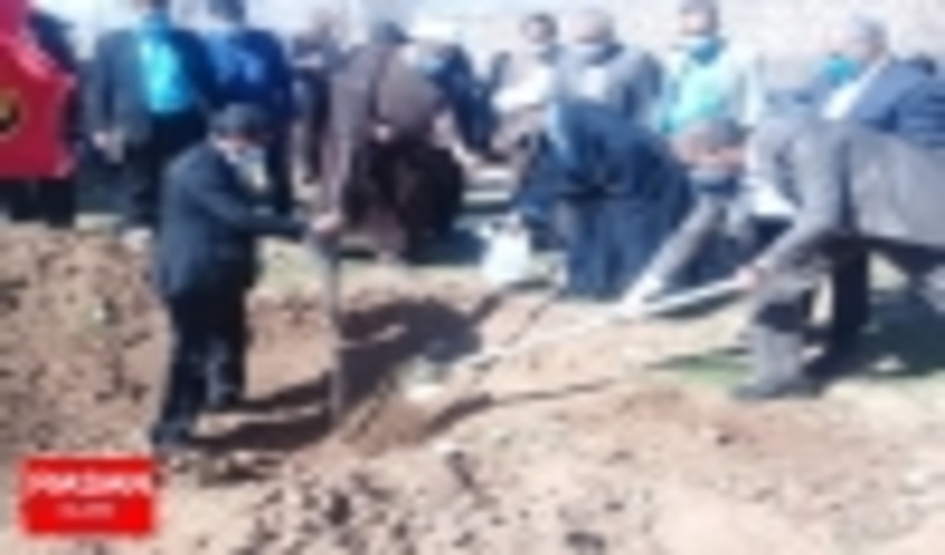۱۰ هزار اصله نهال در ایلام کاشت شد