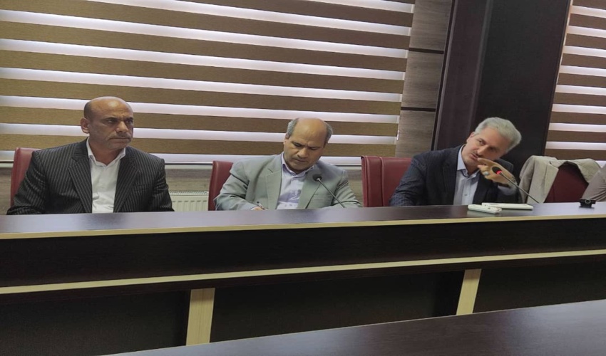 خشکیدگی بیش از ۶۰ درصد درختان بلوط استان ایلام، یک فاجعه و خطر بزرگ برای منابع طبیعی این استان است