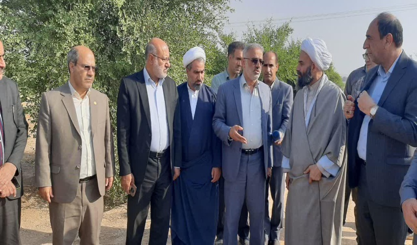 250 میلیون اصله نهال در سال در کشور تولید خواهد شد