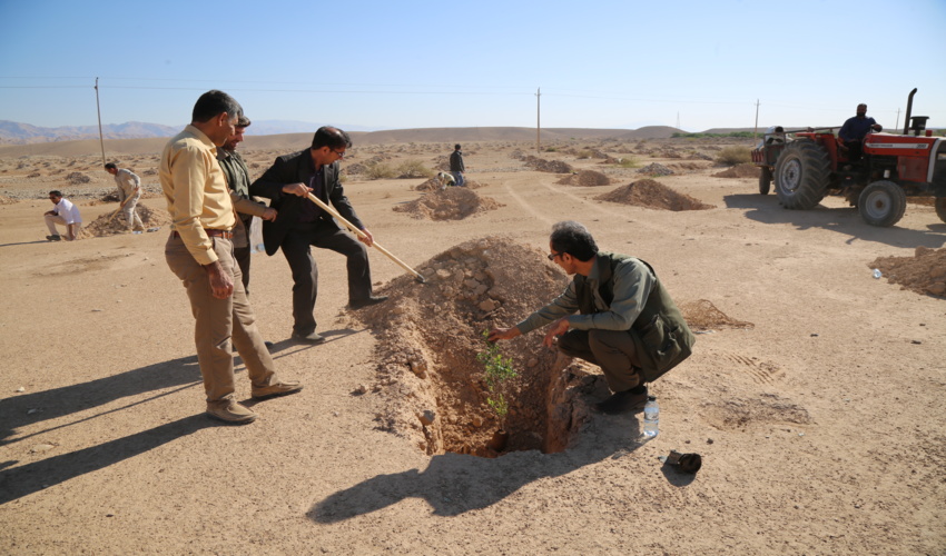 آغاز نهالکاری طرح ملی نهضت سبز در استان ایلام