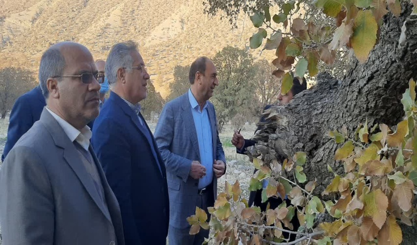 کارشناسان عضو کمسیون کشاورزی، آب، منابع طبیعی و محیط زیست مجلس شورای اسلامی از جنگل های بلوط استان ایلام بازدید نموند