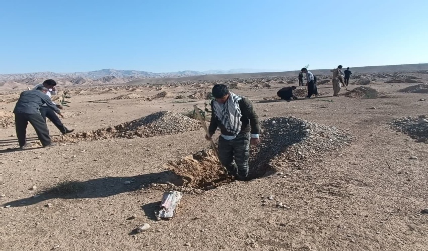 گزارش تصویری پویش مردمی بذرکاری با هدف احیاء جنگل های زاگرس شهرستان مهران