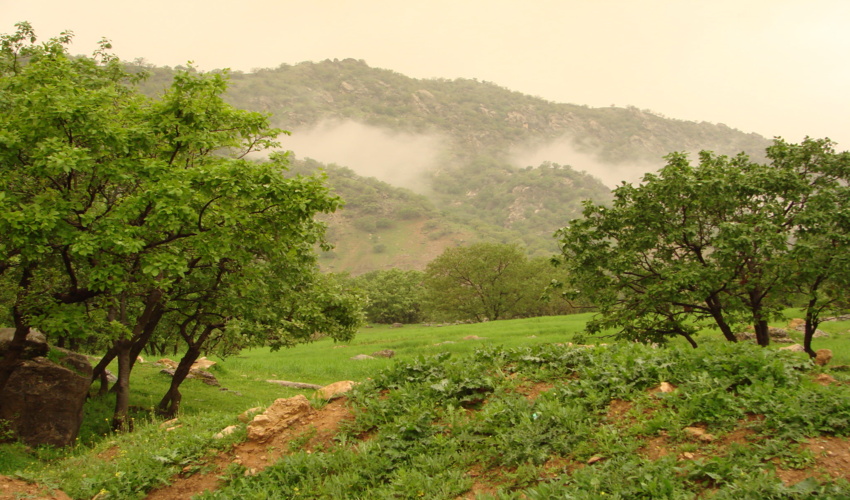 در یک اقدام جهادی مبتنی بر رعایت اصول جنگلداری، جنگل شناسی و اکولوژیکی جنگل طلسم تولید انواع گونه های جنگلی در نهالستان های اداره کل منابع طبیعی و آبخ