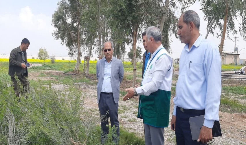 مجری طرح کاشت یک میلیارد درخت در ایران از نهالستان گرمسیری مهران بازدید نمود.