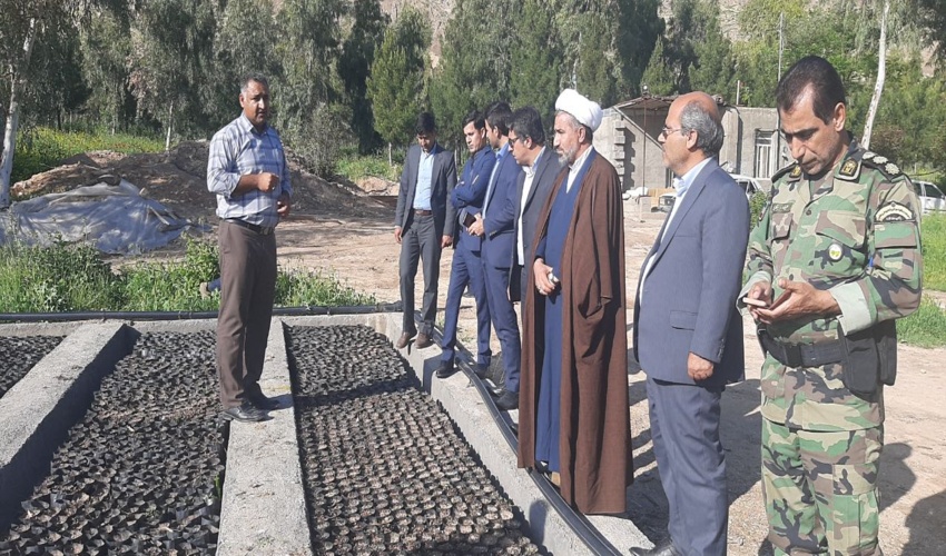 فرماندار سیروان از نهالستان منابع طبیعی و آبخیزداری این شهرستان بازدید نمود