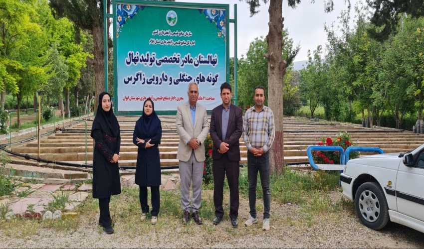 بازدید کارشناسان روابط عمومی از نهالستان سردسیری شهرستان ایوان
