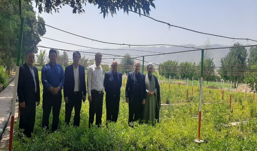 در راستای طرح مردمی کاشت یک میلیارد درخت تا کنون شش میلیون و 300 هزار اصله نهال در استان تولید شده است