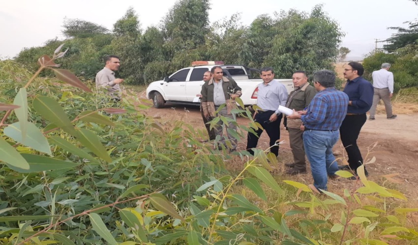 ۲ نهالستان بیابانی در استان ایلام ایجاد شده است