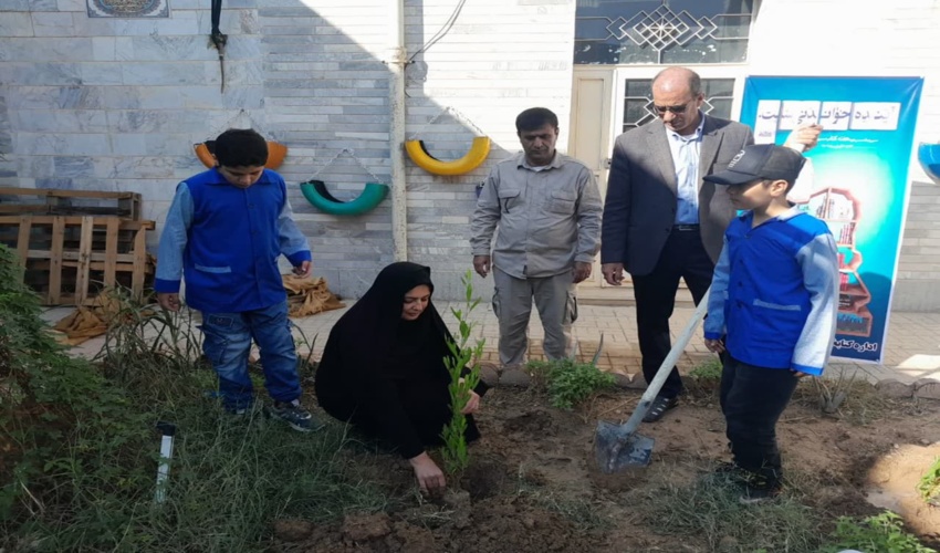 کاشت نهال در کتابخانه امام رضا (ع) شهرستان مهران 