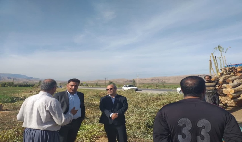 بازدید مدیرکل منابع طبیعی و آبخیزداری استان از طرح بهره برداری از درختان حاشیه جاده
