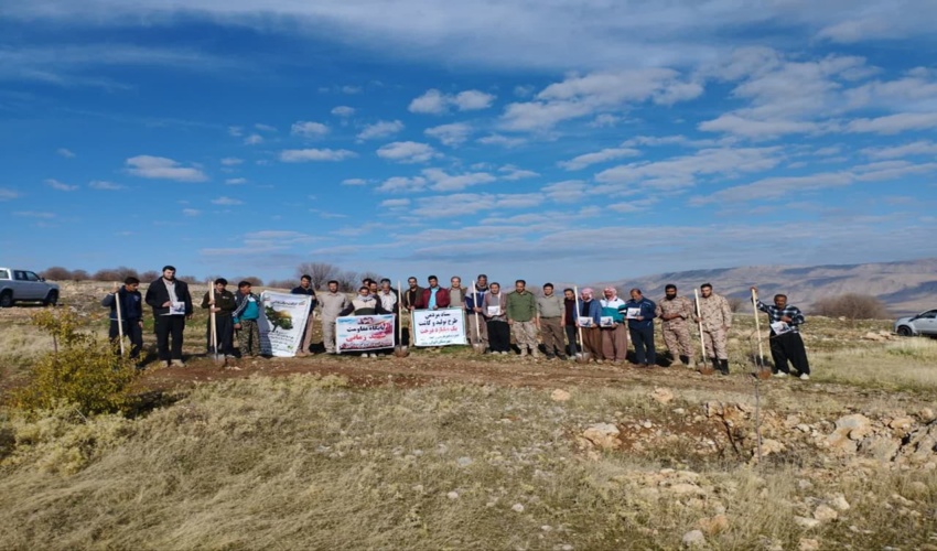طرح مردمی کاشت یک میلیارد درخت شهرستان ایوان