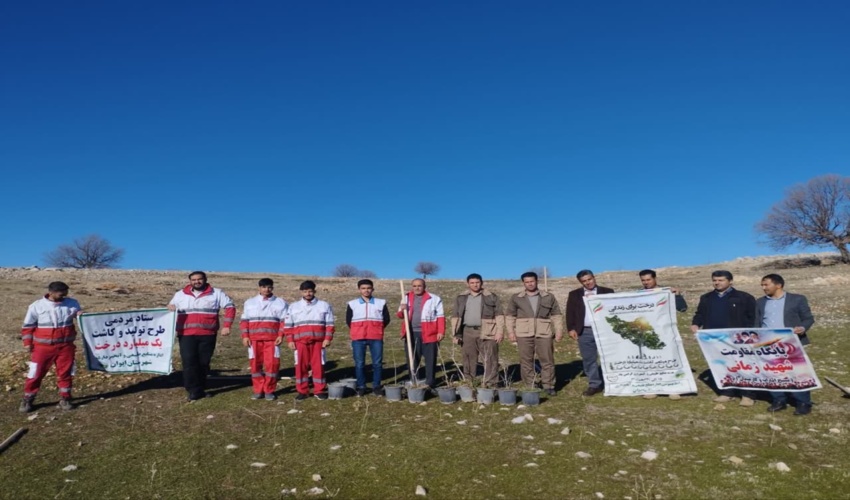 نهالکاری طرح مردمی کاشت یک میلیارد درخت، شهرستان ایوان