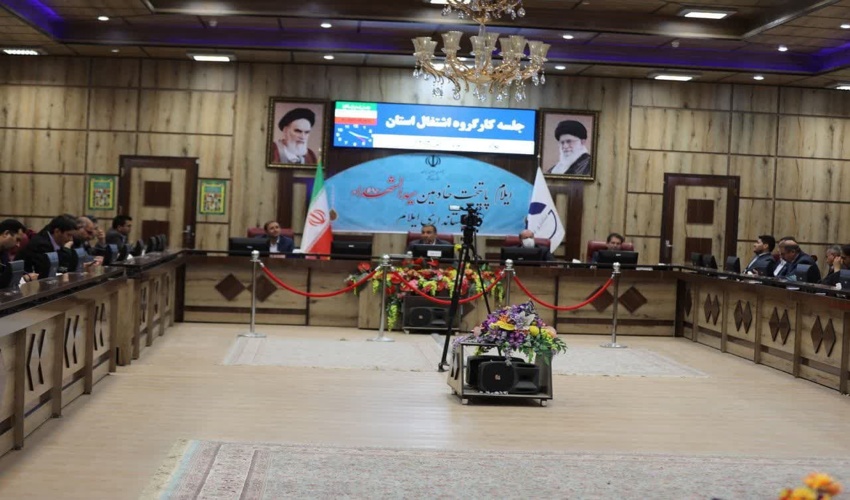 زراعت چوب راهکاری مؤثر برای اشتغالزایی در استان