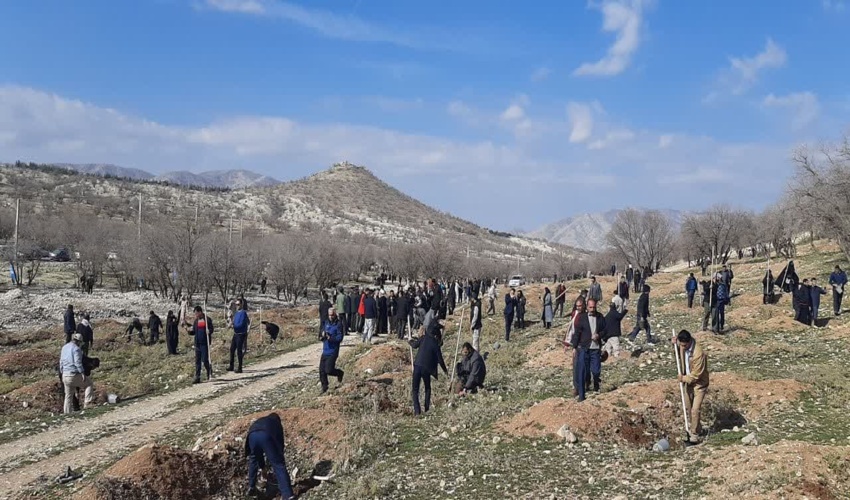 آغاز پویش عظیم درختکاری توسط سپاه امیرالمؤمنین (ع) استان ایلام 