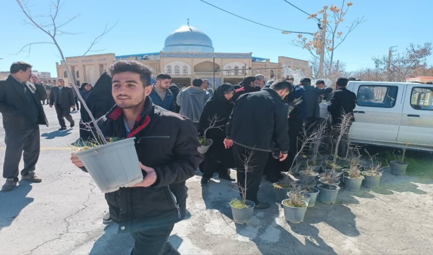 توزیع نهال توسط رأی اولی ها