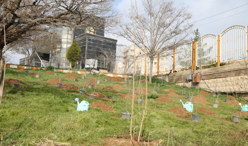 ۳۴۰ نهال مثمر و غیر مثمر در ایستگاه های گازرسانی ایلام کاشت شد