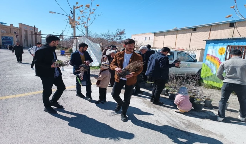 توزیع نهال رایگان در محل مصلای شهر ایلام 