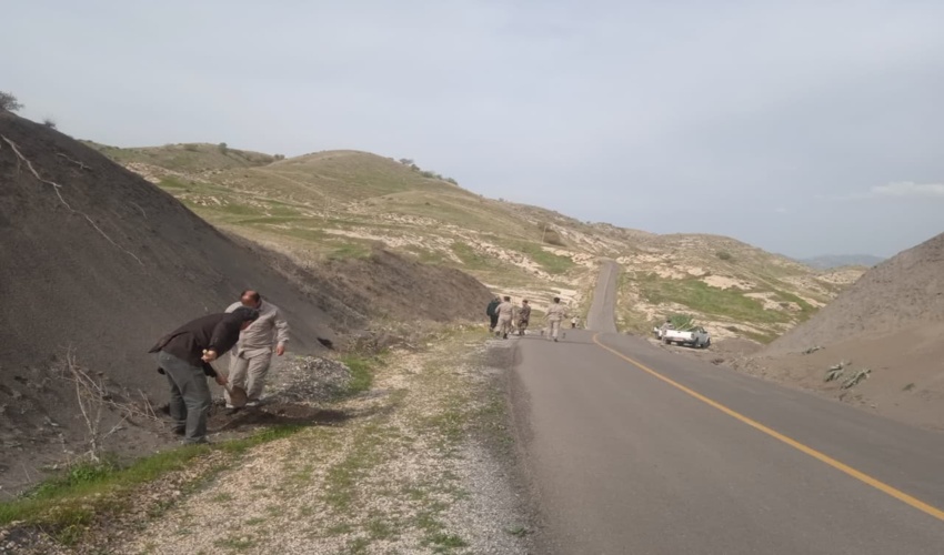 مراسم کاشت نهال شهرستان چوار