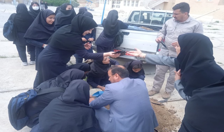 اجرای طرح هر مدرسه یک نهالستان شهرستان چوار