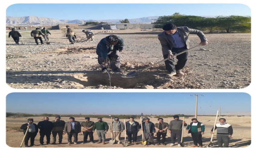 اجرای پویش درختکاری در روستا های شهرستان دهلران 