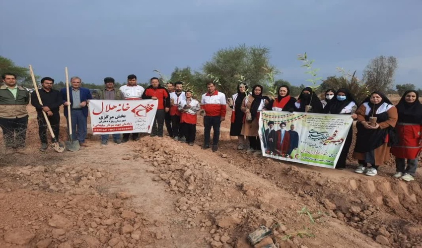 ۳۰۰ اصله درخت در پارک جنگلی شهید باهنر دهلران غرس شد