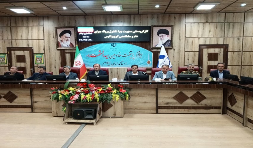 جلسه کار گروه ملی مدیریت چرا ، کنترل پروانه چرای دام و ساماندهی کوچ بهاره 