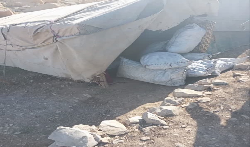 کشف و ضبط ۱۵ کیسه ذغال توسط نیروهای یگان حفاظت اداره منابع طبیعی و آبخیزداری شهرستان مهران