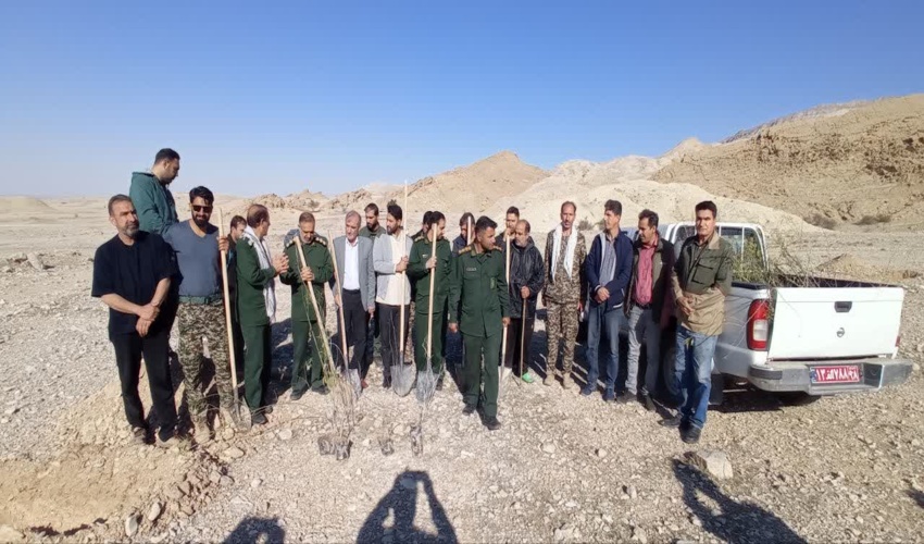 100 اصله نهال در بالا دست آبگرم دهلران غرس شد 