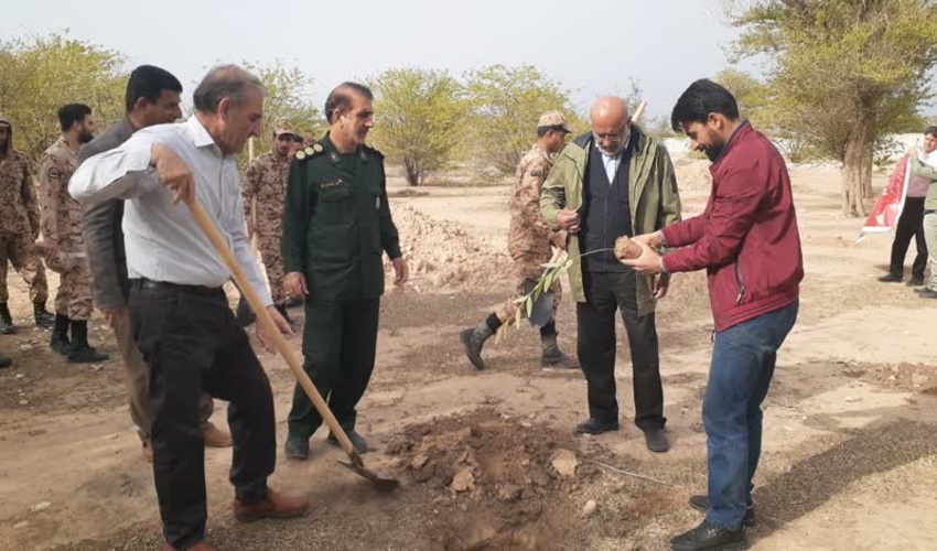 200اصله نهال در پارک شهرداری دهلران غرس شد
