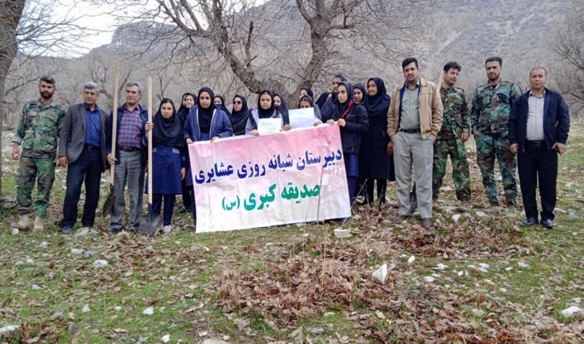 کاشت 50 اصله نهال شهرستان چوار