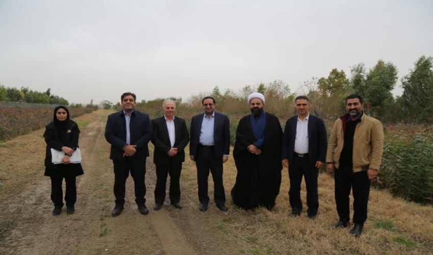 بازدید رئیس سازمان منابع طبیعی از نهالستان گرمسیری مهران؛ تأکید بر تولید نهال مقاوم و علمی