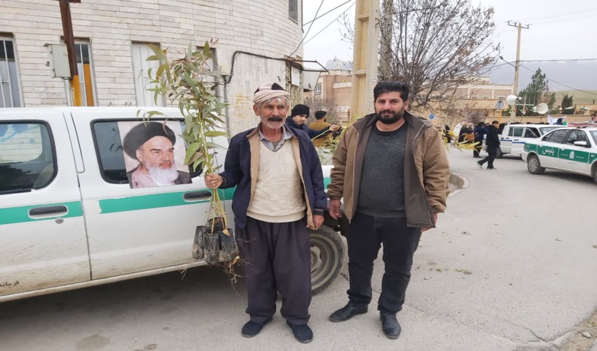 توزیع نهال رایگان در شهرستان سیروان