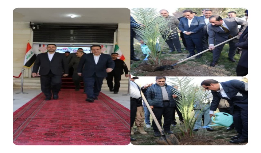 کاشت نهال بلوط و خرما نماد دیپلماسی سبز و تقویت همکاری‌های فرامرزی در استان ایلام