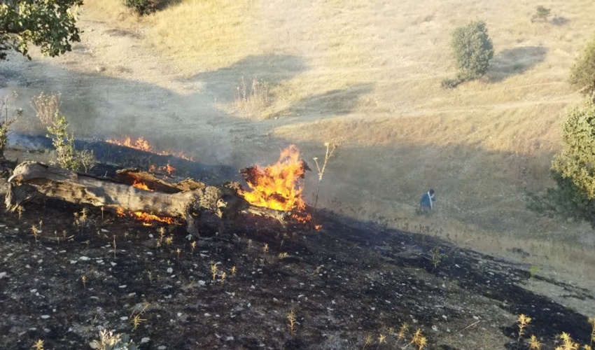 مهار آتش سوزی در روستای بوستانه شهرستان ملکشاهی