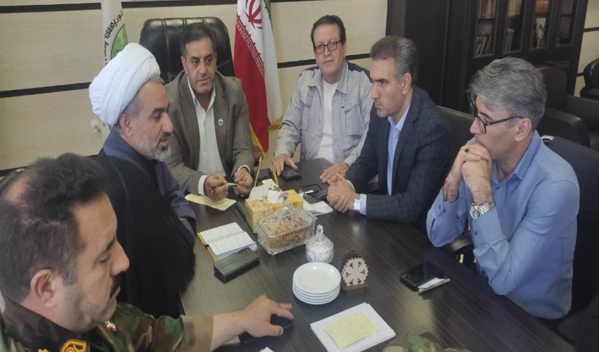 آخرین وضعیت حریق و برنامه‌های جاری منابع طبیعی ایلام در نشست شورای معاونین بررسی شد