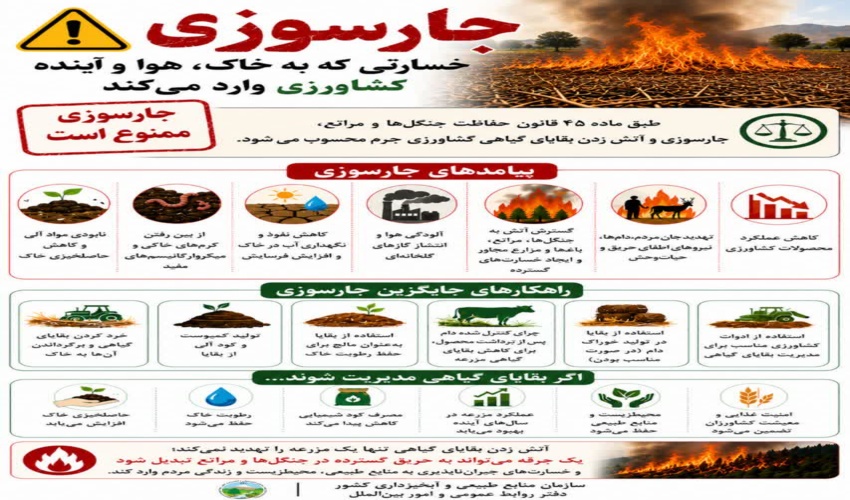 جارسوزی ممنوع است