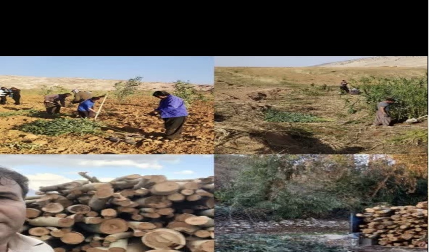 سرمایه گذاری در منابع طبیعی زمینه ساز تولید پایدار