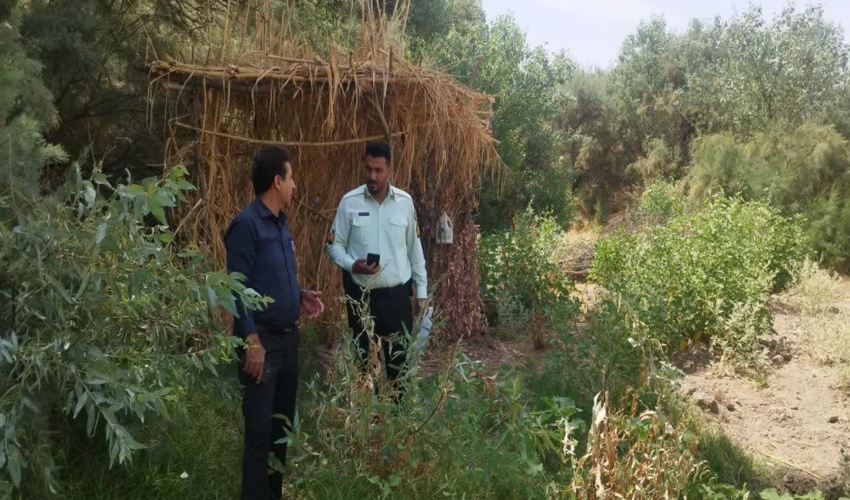 گشت، رسیدگی به گزارشات و بررسی تخلفات توسط کارشناسان منابع طبیعی